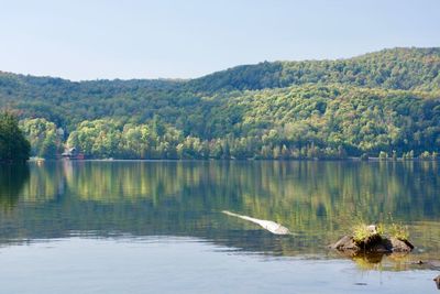 Scenic view of lake by trees against clear sky