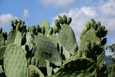 Low angle view of rocks on mountain against sky