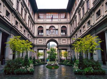 Potted plants in building