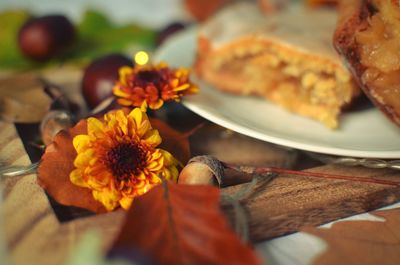 High angle view of orange flower on table