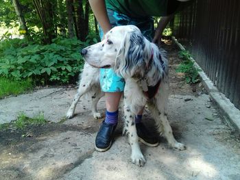 Low section of man with dog