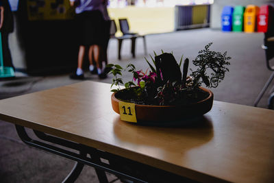 Close-up of potted plant on table