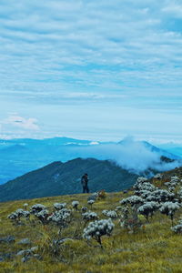 Man on mountain against sky