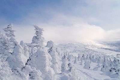 Scenic view of snow covered landscape against sky