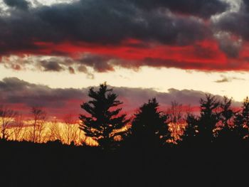 Silhouette trees against sky during sunset