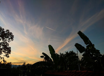 Low angle view of silhouette palm trees against sky during sunset