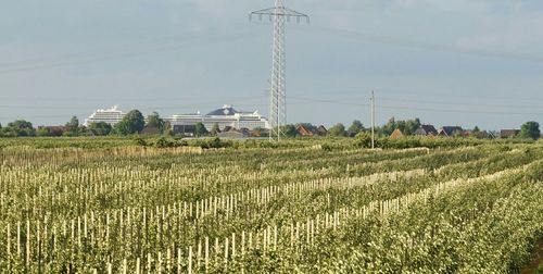 Agricultural field against sky