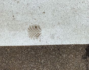 High angle view of sand on road