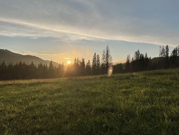 Scenic view of field against sky during sunset