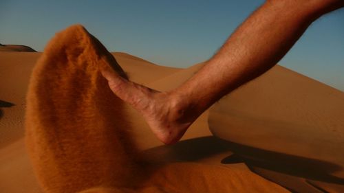 Close-up of cropped car