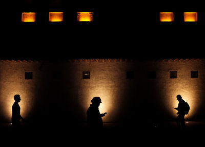 Silhouette people against illuminated building at night