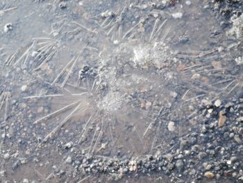 Full frame shot of frozen water