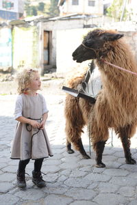 Full length of cute girl looking at goat