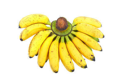 Close-up of bananas against white background