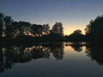 Reflection of trees in water