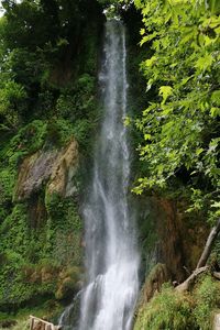 Waterfall in forest
