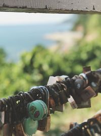 Close-up of padlocks on railing