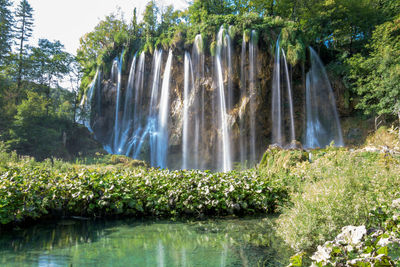 Scenic view of waterfall in forest