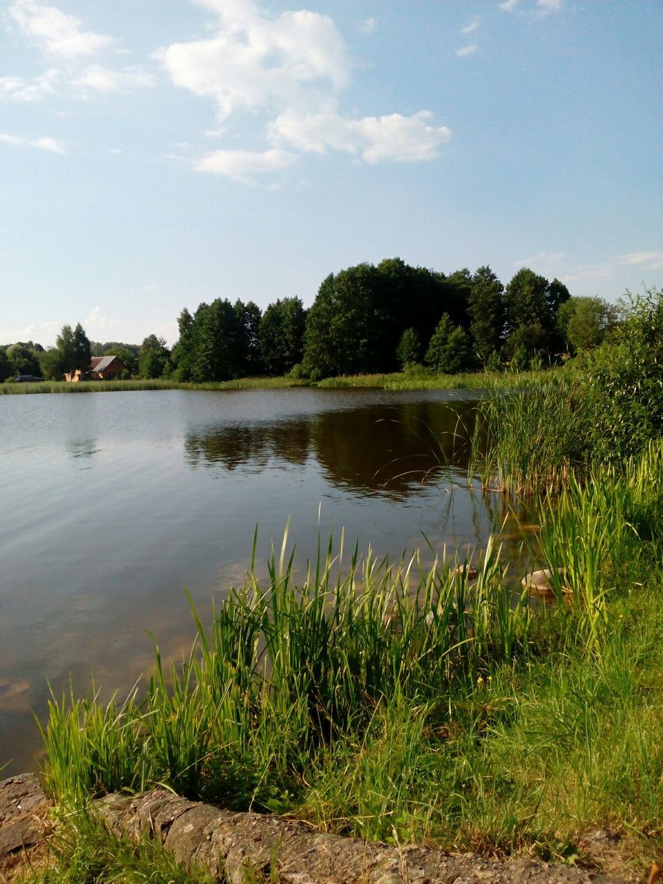 water, lake, tranquil scene, sky, tranquility, reflection, tree, scenics, beauty in nature, grass, nature, growth, plant, lakeshore, cloud - sky, cloud, idyllic, calm, outdoors, no people, day, green color, non-urban scene, non urban scene, remote, landscape, rippled, blue