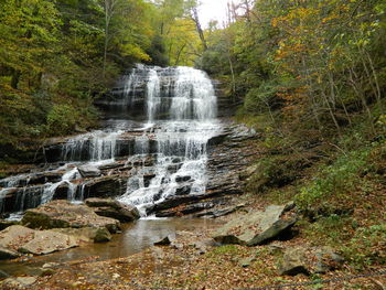 Close-up of waterfall in forest