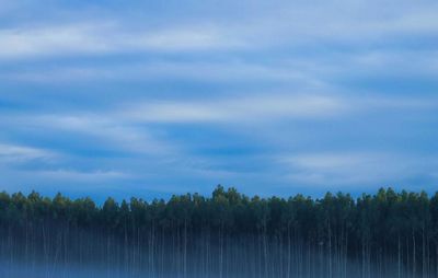 Scenic view of trees against cloudy sky