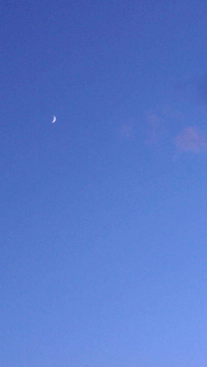 LOW ANGLE VIEW OF HALF MOON AGAINST BLUE SKY