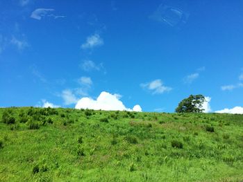 Scenic view of grassy field against cloudy sky