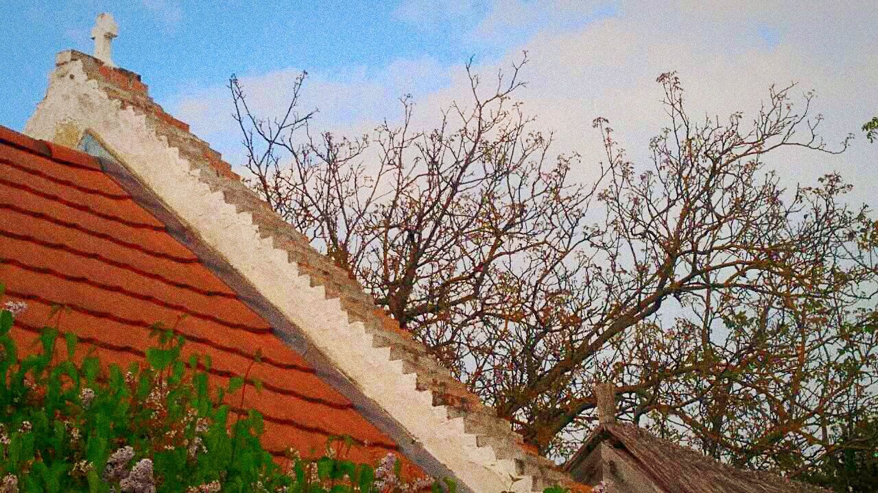 LOW ANGLE VIEW OF BARE TREES AGAINST SKY