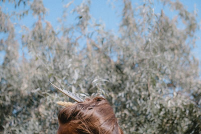 Close-up portrait of woman on tree