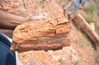 Cropped image of hand holding wood