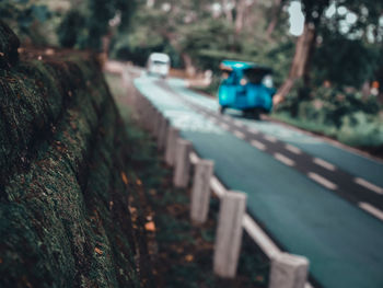 Road by trees