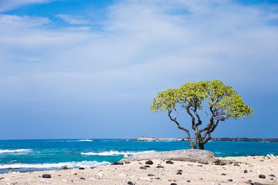 Scenic view of sea against blue sky