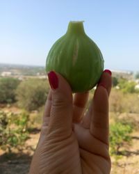 Midsection of woman holding apple against clear sky