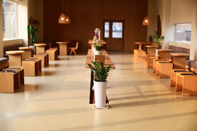 Rear view of woman standing in room