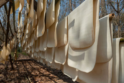 Close-up of clothes drying on clothesline