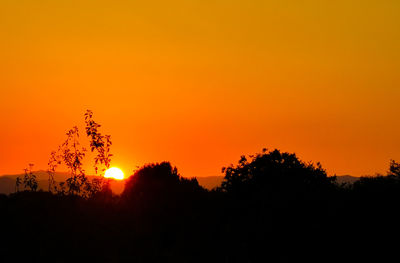 Silhouette trees against orange sky