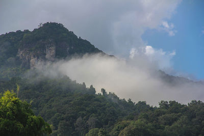 Panoramic view of trees and mountains against sky