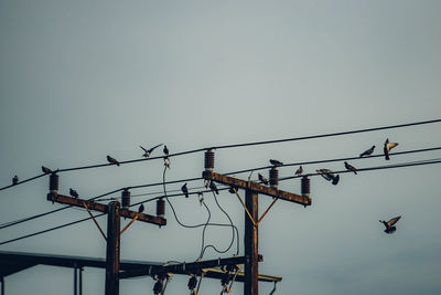 electricity