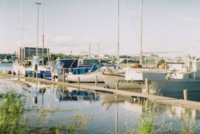 Sailboats moored at harbor