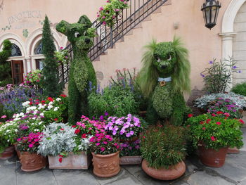 Potted plants in front of building