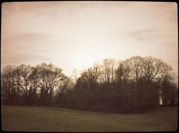 Scenic view of field against cloudy sky