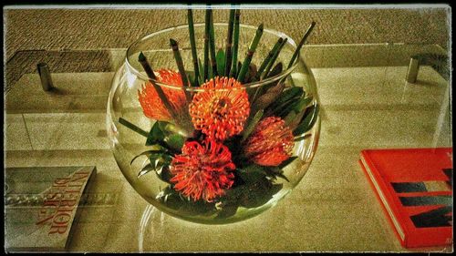 Close-up of red flowers