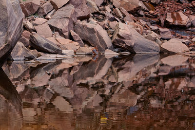 Full frame shot of rock with reflection in water