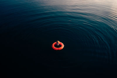 High angle view of red floating on water