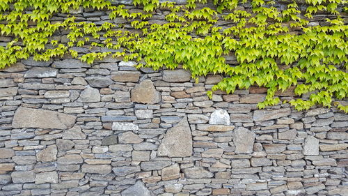 Close-up of stone wall