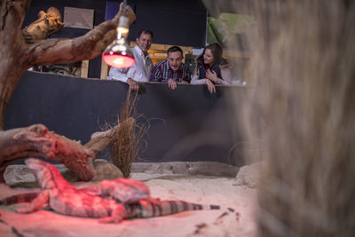 Young man with down syndrome and family looking at lizard at reptile exhibition