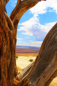 Scenic view of landscape against cloudy sky