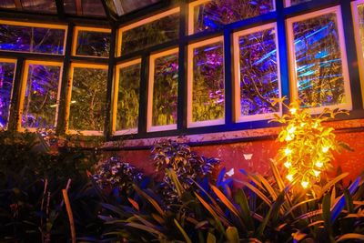 Illuminated plants in building