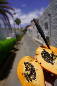 Close-up of orange fruit on tree against sky