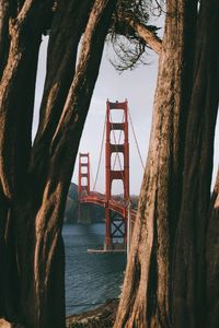 View of suspension bridge over sea